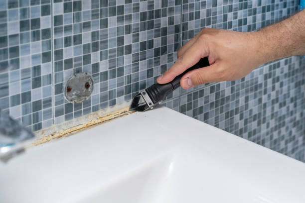 Best Residential Mold Removal  in West Long Branch, NJ
