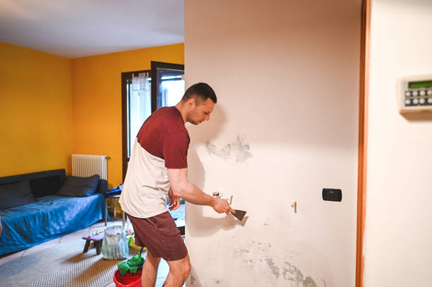 Best Mold Removal Near Me  in West Long Branch, NJ